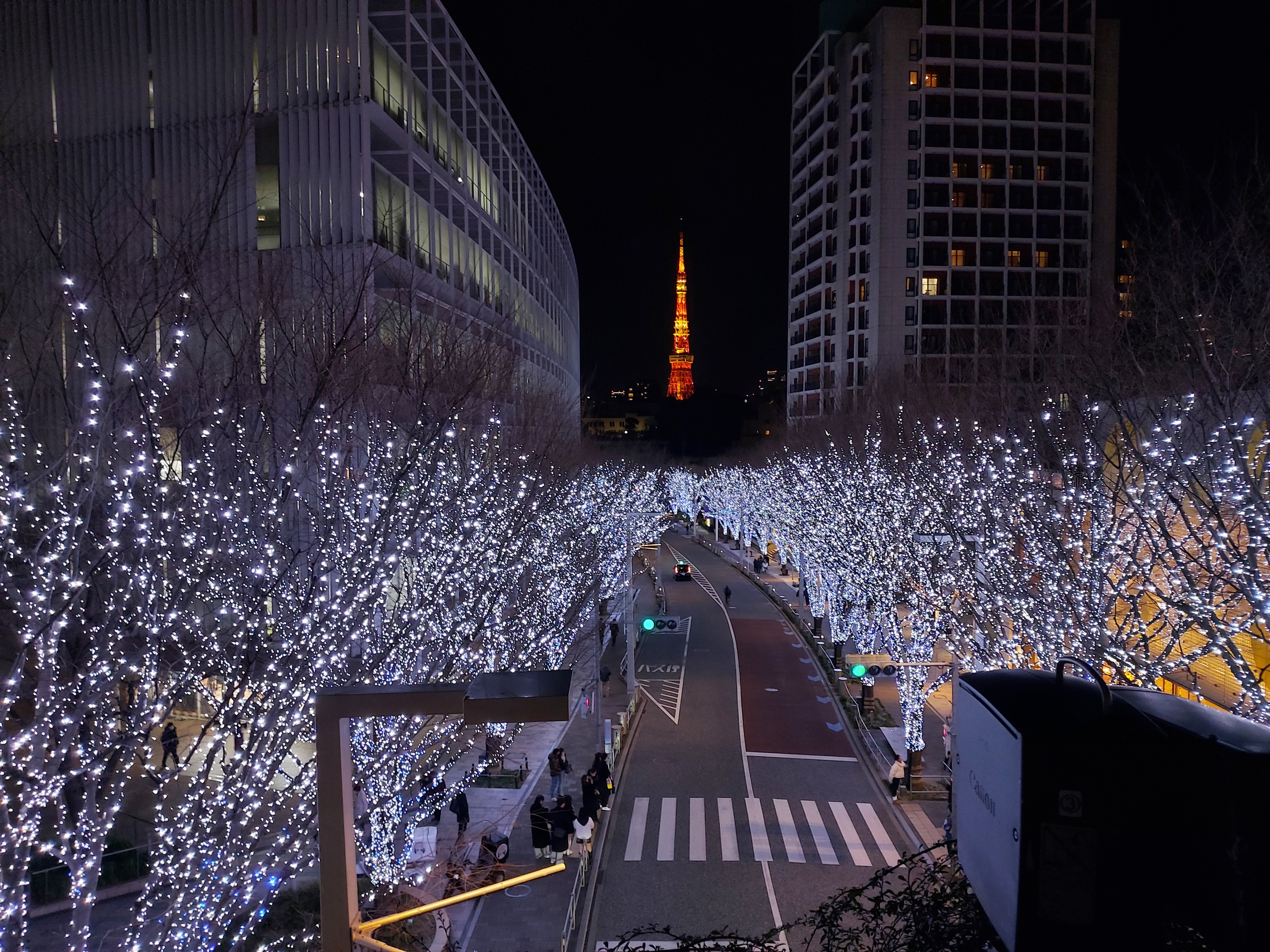 Picture when I took at Tokyo,Japan